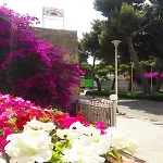 Arazurrina